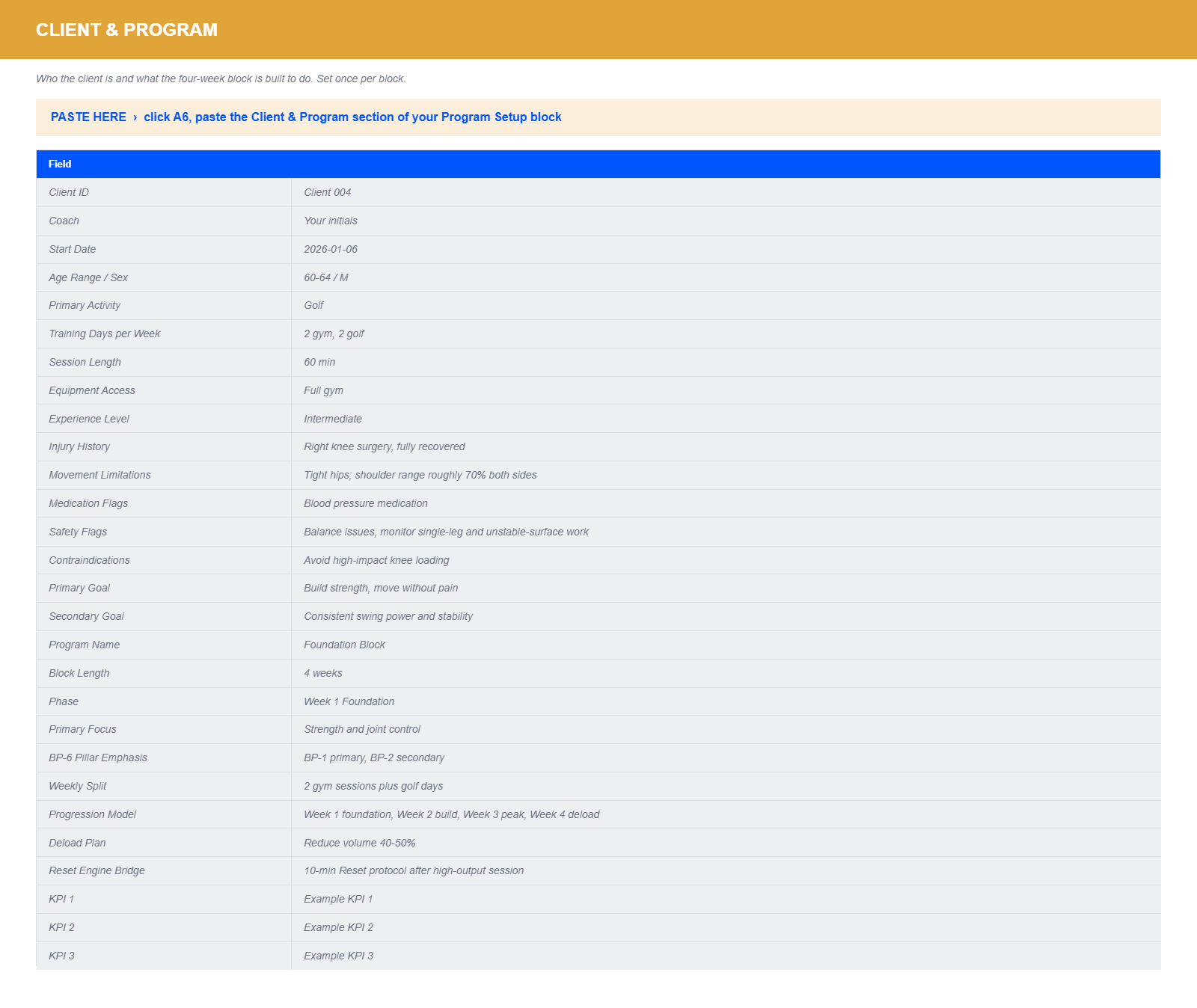 CoachNexus Client Workbook, Client & Program sheet