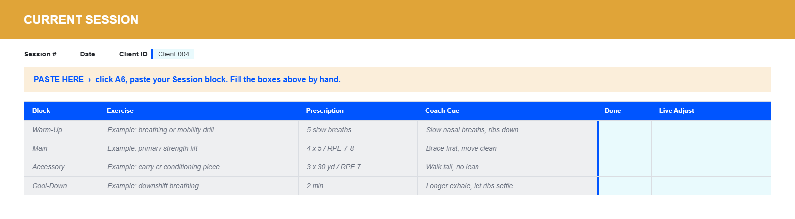 CoachNexus Client Workbook, Current Session sheet