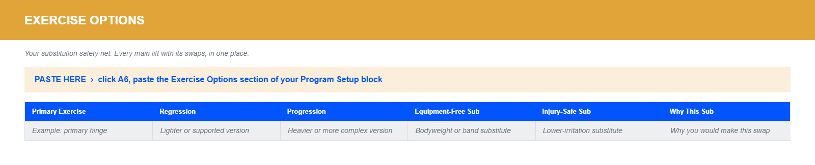 CoachNexus Client Workbook, Exercise Options sheet
